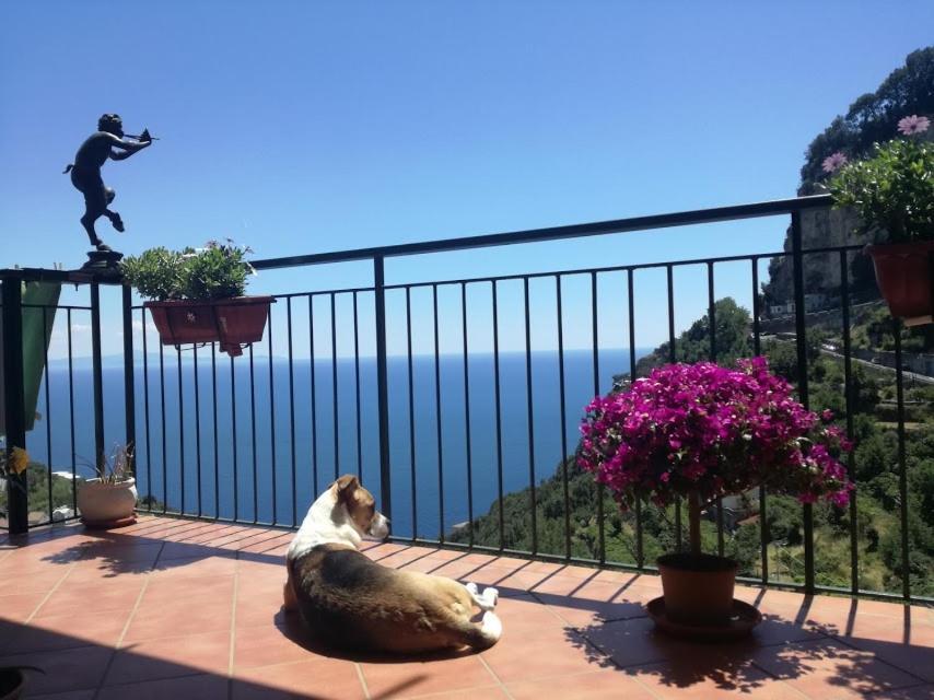 Bed and Breakfast Domus Gaia Amalfi Exterior foto